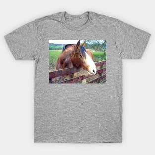 Clydesdale II T-Shirt